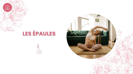 3. Les épaules
